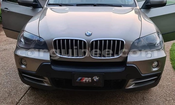 Acheter Occasion Voiture BMW X5 Gris à Conakry, Conakry
