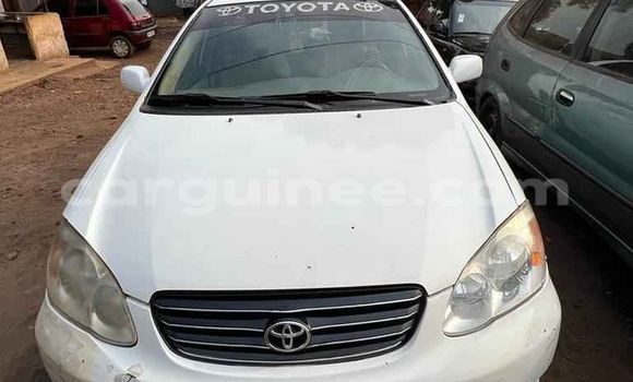 Acheter Occasion Voiture Toyota Corolla Blanc à Conakry, Conakry Acheter Occasion Voiture Toyota Corolla Blanc à Conakry, Conakry