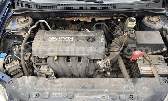 Acheter Occasion Voiture Toyota Corolla Bleu à Conakry, Conakry Acheter Occasion Voiture Toyota Corolla Bleu à Conakry, Conakry