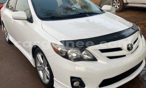 Acheter Import Voiture Toyota Corolla Blanc à Conakry, Conakry
