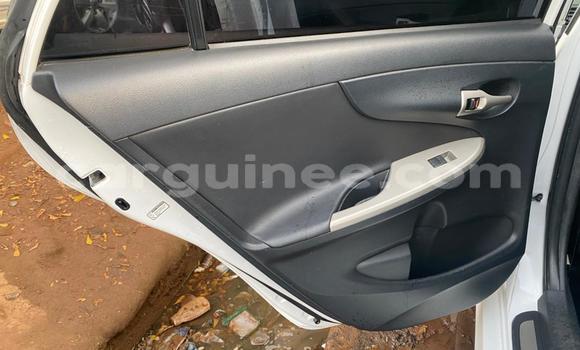 Acheter Import Voiture Toyota Corolla Blanc à Conakry, Conakry Acheter Import Voiture Toyota Corolla Blanc à Conakry, Conakry