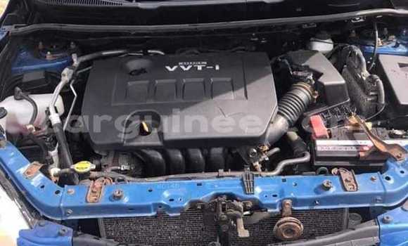 Acheter Occasion Voiture Toyota Matrix Bleu à Kankan, Kankan Acheter Occasion Voiture Toyota Matrix Bleu à Kankan, Kankan