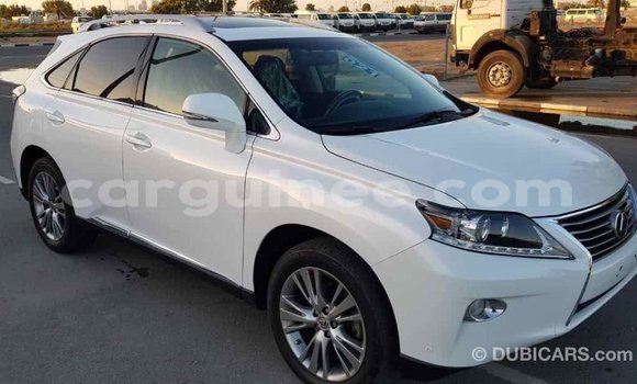 Acheter Import Voiture Lexus RX 350 Blanc à Import - Dubai, Conakry Acheter Import Voiture Lexus RX 350 Blanc à Import - Dubai, Conakry