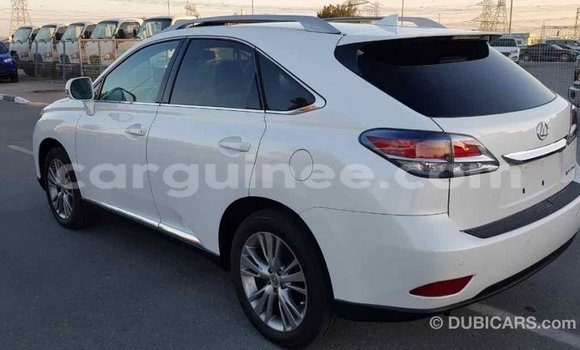 Acheter Import Voiture Lexus RX 350 Blanc à Import - Dubai, Conakry Acheter Import Voiture Lexus RX 350 Blanc à Import - Dubai, Conakry