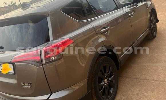 Buy Used Toyota RAV4 Brown Car in Conakry in Conakry Buy Used Toyota RAV4 Brown Car in Conakry in Conakry