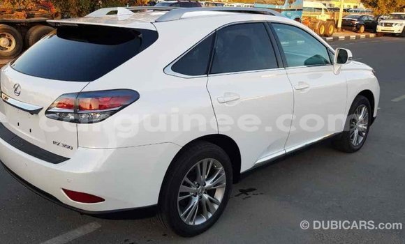 Acheter Import Voiture Lexus RX 350 Blanc à Import - Dubai, Conakry Acheter Import Voiture Lexus RX 350 Blanc à Import - Dubai, Conakry
