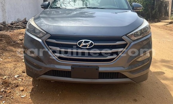 Acheter Occasion Voiture Hyundai Tucson Bleu à Conakry, Conakry Acheter Occasion Voiture Hyundai Tucson Bleu à Conakry, Conakry