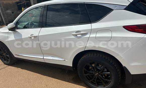 Buy New Acura RDX White Car in Conakry in Conakry Buy New Acura RDX White Car in Conakry in Conakry