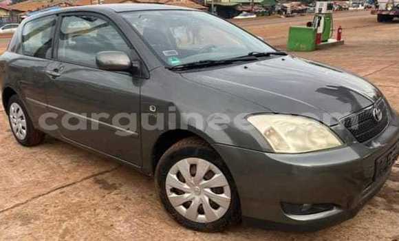 Buy Used Toyota Corolla Other Car in Conakry in Conakry