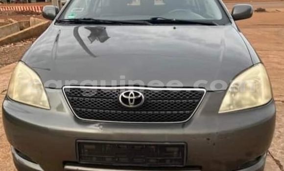 Acheter Occasion Voiture Toyota Corolla Autre à Conakry, Conakry Acheter Occasion Voiture Toyota Corolla Autre à Conakry, Conakry