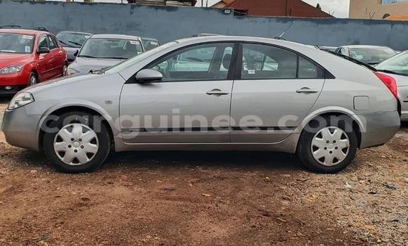Buy Used Nissan Primera Other Car in Conakry in Conakry Buy Used Nissan Primera Other Car in Conakry in Conakry
