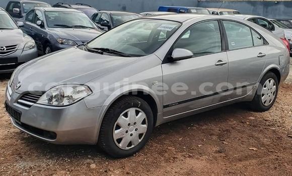 Buy Used Nissan Primera Other Car in Conakry in Conakry Buy Used Nissan Primera Other Car in Conakry in Conakry