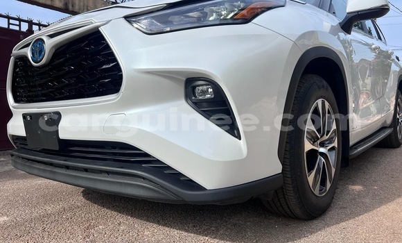 Buy New Toyota Highlander White Car in Conakry in Conakry Buy New Toyota Highlander White Car in Conakry in Conakry