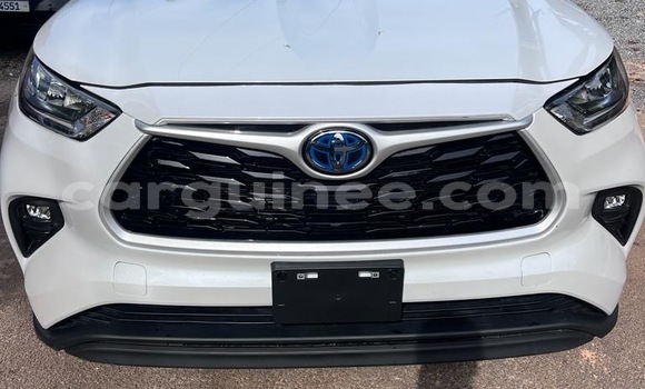Buy New Toyota Highlander White Car in Conakry in Conakry Buy New Toyota Highlander White Car in Conakry in Conakry