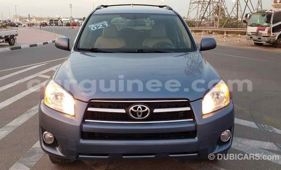 Acheter Import Voiture Toyota RAV4 Bleu à Import - Dubai, Conakry Acheter Import Voiture Toyota RAV4 Bleu à Import - Dubai, Conakry