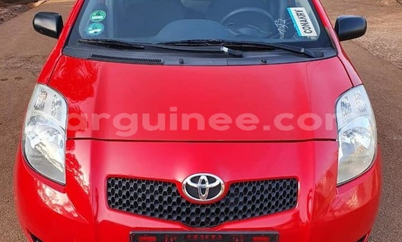 Buy Used Toyota Yaris Red Car in Conakry in Conakry