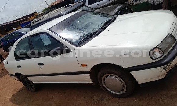 Acheter Occasion Voiture Nissan Primera Blanc à Boffa, Boffa Acheter Occasion Voiture Nissan Primera Blanc à Boffa, Boffa