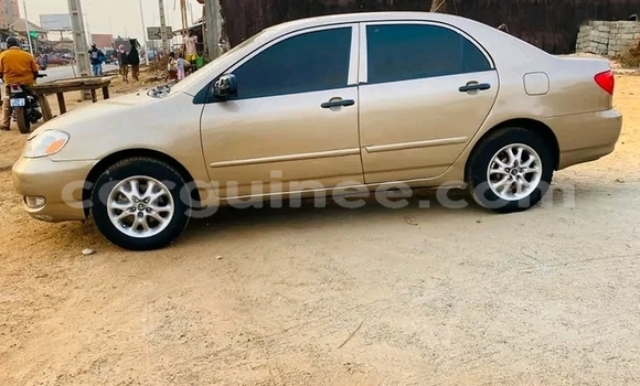 Acheter Occasion Voiture Toyota Corolla Marron à Conakry, Conakry Acheter Occasion Voiture Toyota Corolla Marron à Conakry, Conakry