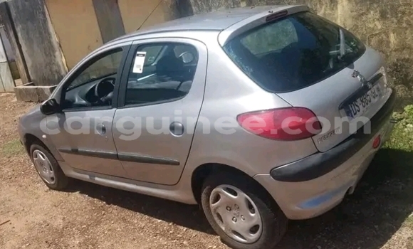 Buy Used Peugeot 206 Silver Car in Conakry in Conakry Buy Used Peugeot 206 Silver Car in Conakry in Conakry