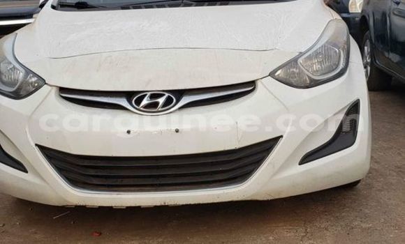 Buy Used Hyundai Elantra White Car in Conakry in Conakry