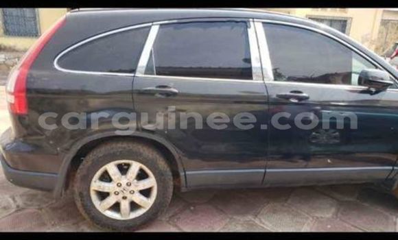 Buy Used Honda CR–V Other Car in Conakry in Conakry