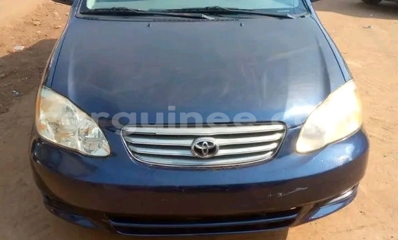 Acheter Occasion Voiture Toyota Corolla Bleu à Conakry, Conakry Acheter Occasion Voiture Toyota Corolla Bleu à Conakry, Conakry