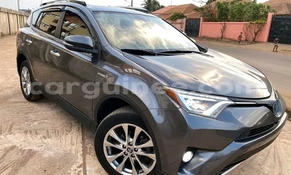 Buy Used Toyota RAV4 Brown Car in Conakry in Conakry Buy Used Toyota RAV4 Brown Car in Conakry in Conakry