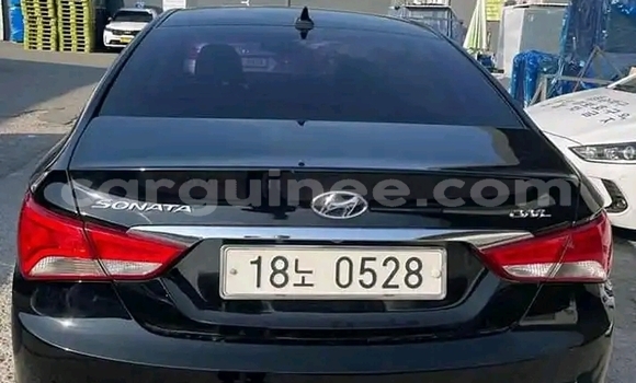 Buy Used Honda Shuttle Other Car in Conakry in Conakry