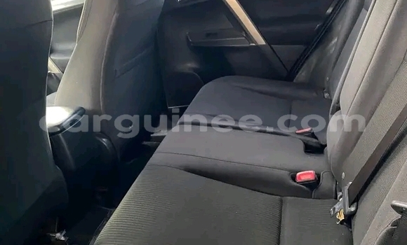 Buy Used Toyota RAV4 Red Car in Conakry in Conakry Buy Used Toyota RAV4 Red Car in Conakry in Conakry