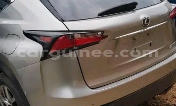 Acheter Occasion Voiture Lexus NX Gris à Conakry, Conakry