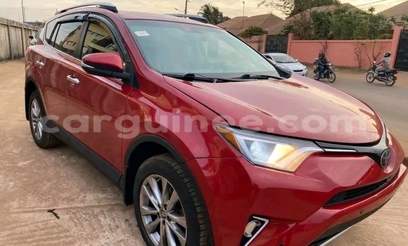 Buy Used Toyota RAV4 Red Car in Conakry in Conakry Buy Used Toyota RAV4 Red Car in Conakry in Conakry