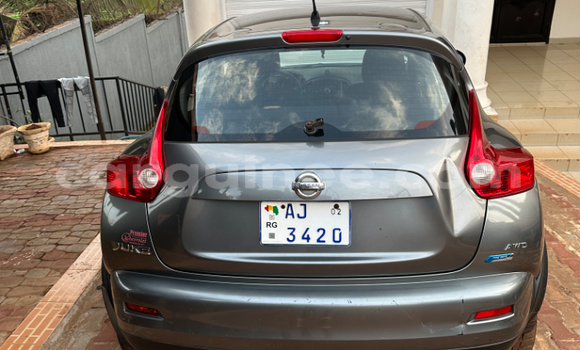 Acheter Occasion Voiture Nissan Juke Gris à Conakry, Conakry