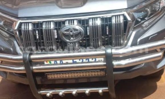 Buy Used Toyota Prado Other Car in Conakry in Conakry Buy Used Toyota Prado Other Car in Conakry in Conakry
