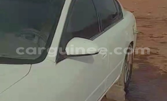 Buy Used Nissan Altima White Car in Kindia in Kindia