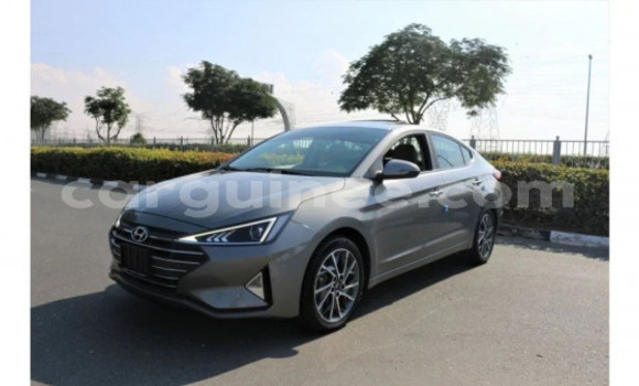 Buy Used Hyundai Elantra Silver Car in Coyah in Coyah Buy Used Hyundai Elantra Silver Car in Coyah in Coyah