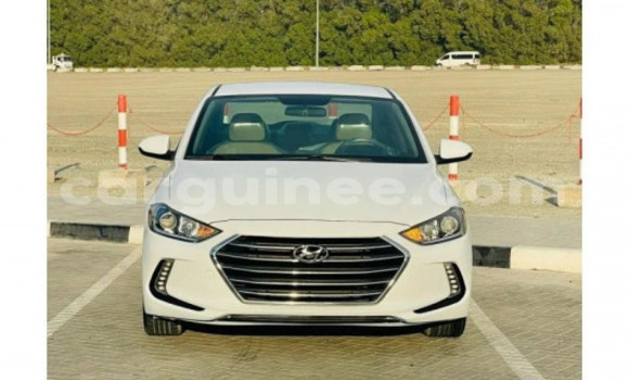 Buy Used Hyundai Elantra White Car in Coyah in Coyah Buy Used Hyundai Elantra White Car in Coyah in Coyah