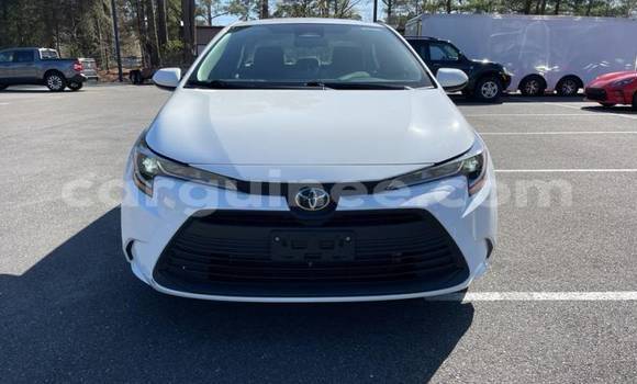 Buy Import Toyota Corolla White Car in Boffa in Boffa