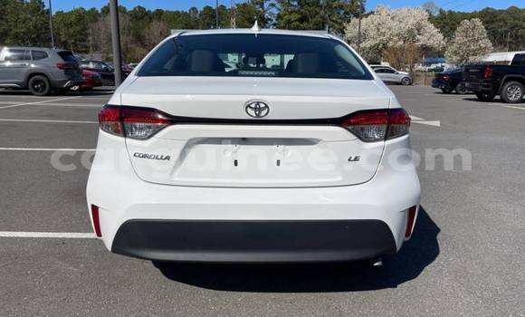 Buy Import Toyota Corolla White Car in Boffa in Boffa Buy Import Toyota Corolla White Car in Boffa in Boffa