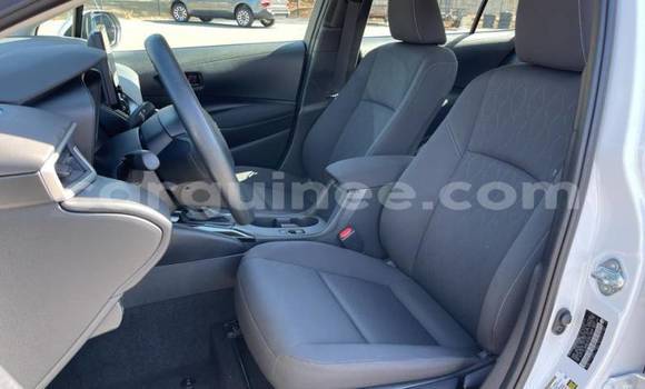 Buy Import Toyota Corolla White Car in Boffa in Boffa Buy Import Toyota Corolla White Car in Boffa in Boffa