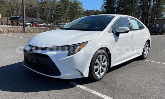 Buy Import Toyota Corolla White Car in Boffa in Boffa Buy Import Toyota Corolla White Car in Boffa in Boffa