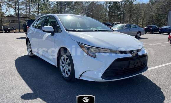 Buy Import Toyota Corolla White Car in Boffa in Boffa Buy Import Toyota Corolla White Car in Boffa in Boffa