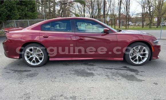 Buy Used Dodge Charger Red Car in Conakry in Conakry Buy Used Dodge Charger Red Car in Conakry in Conakry