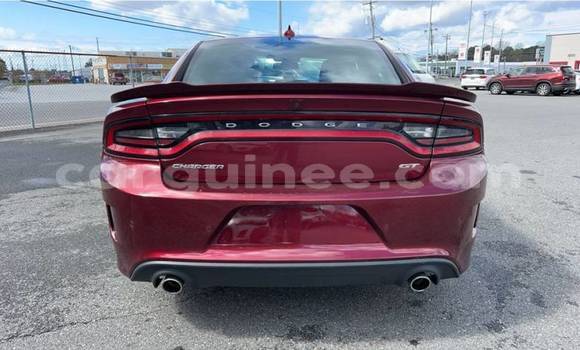 Buy Used Dodge Charger Red Car in Conakry in Conakry Buy Used Dodge Charger Red Car in Conakry in Conakry