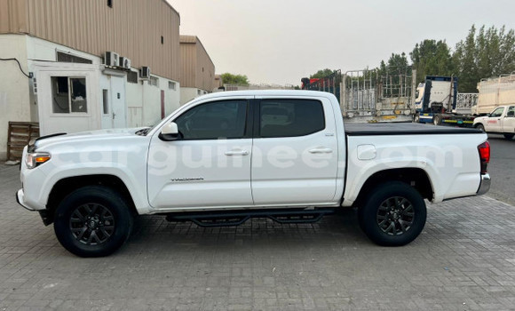 Buy Used Toyota Tacoma White Car in Conakry in Conakry Buy Used Toyota Tacoma White Car in Conakry in Conakry