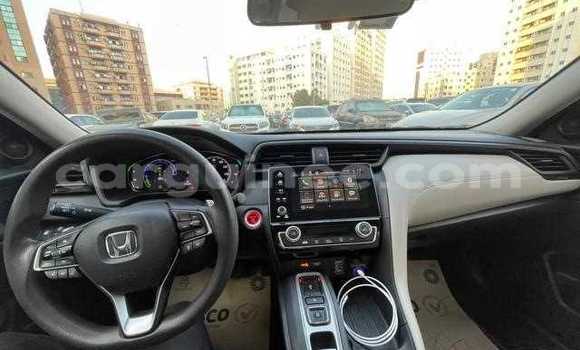 Buy Used Honda Insight Black Car in Conakry in Conakry Buy Used Honda Insight Black Car in Conakry in Conakry