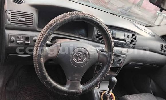 Buy Used Toyota Corolla Black Car in Conakry in Conakry Buy Used Toyota Corolla Black Car in Conakry in Conakry