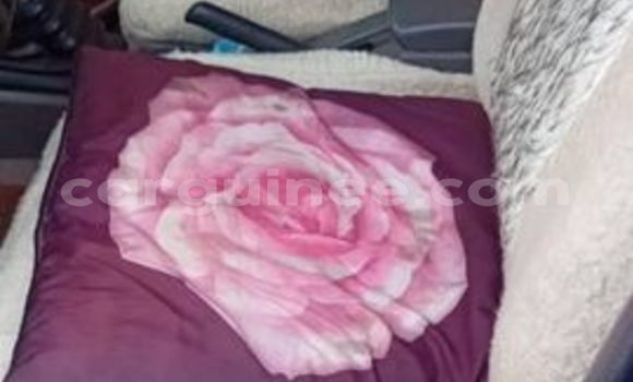 Buy Used Nissan Almera Blue Car in Conakry in Conakry Buy Used Nissan Almera Blue Car in Conakry in Conakry