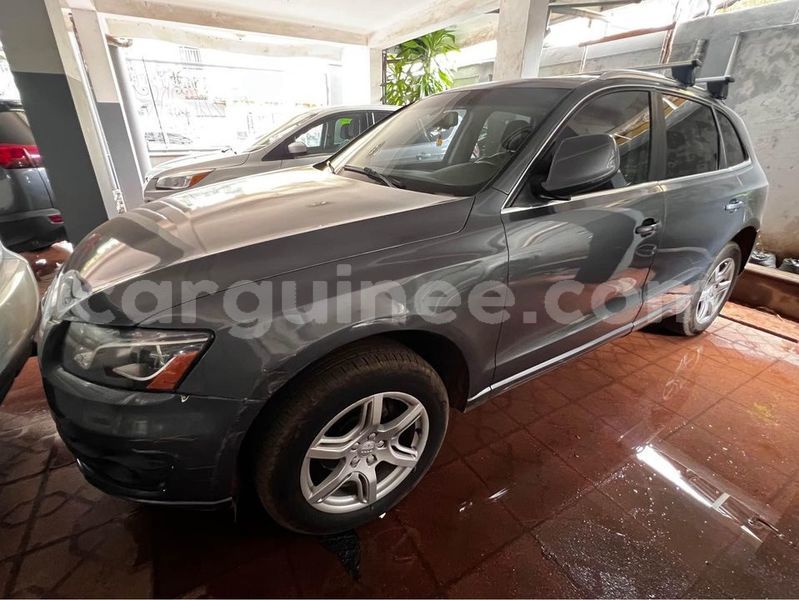 Big with watermark audi q5 coyah coyah 9227