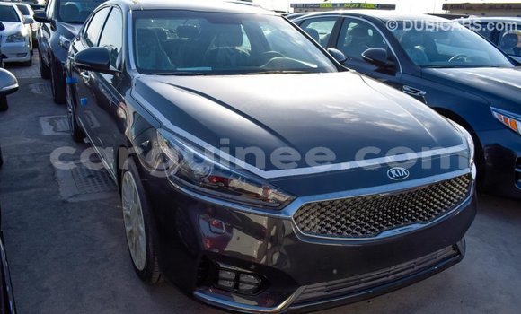 Buy Import Kia Cadenza Other Car in Import - Dubai in Conakry Buy Import Kia Cadenza Other Car in Import - Dubai in Conakry