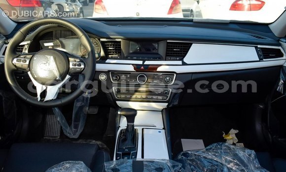 Buy Import Kia Cadenza Other Car in Import - Dubai in Conakry Buy Import Kia Cadenza Other Car in Import - Dubai in Conakry